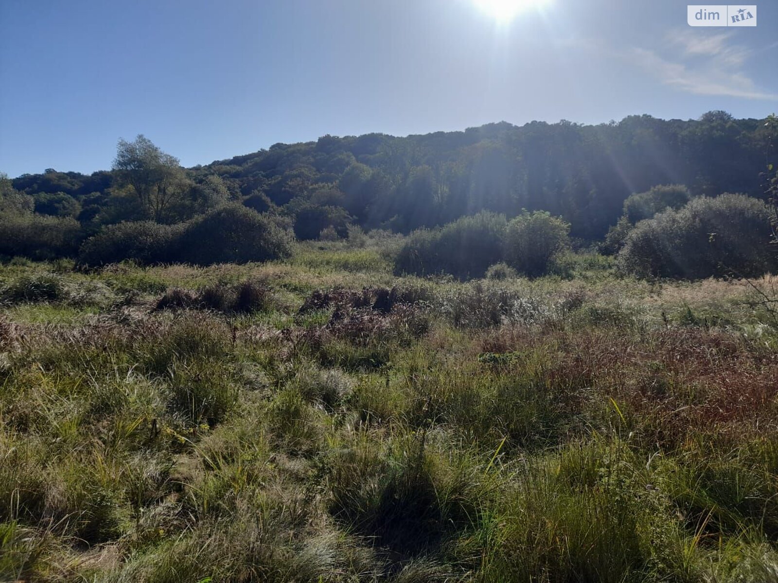 Аренда земли коммерческого назначения в Ярушичах, цена: 2 639 грн за объект фото 1