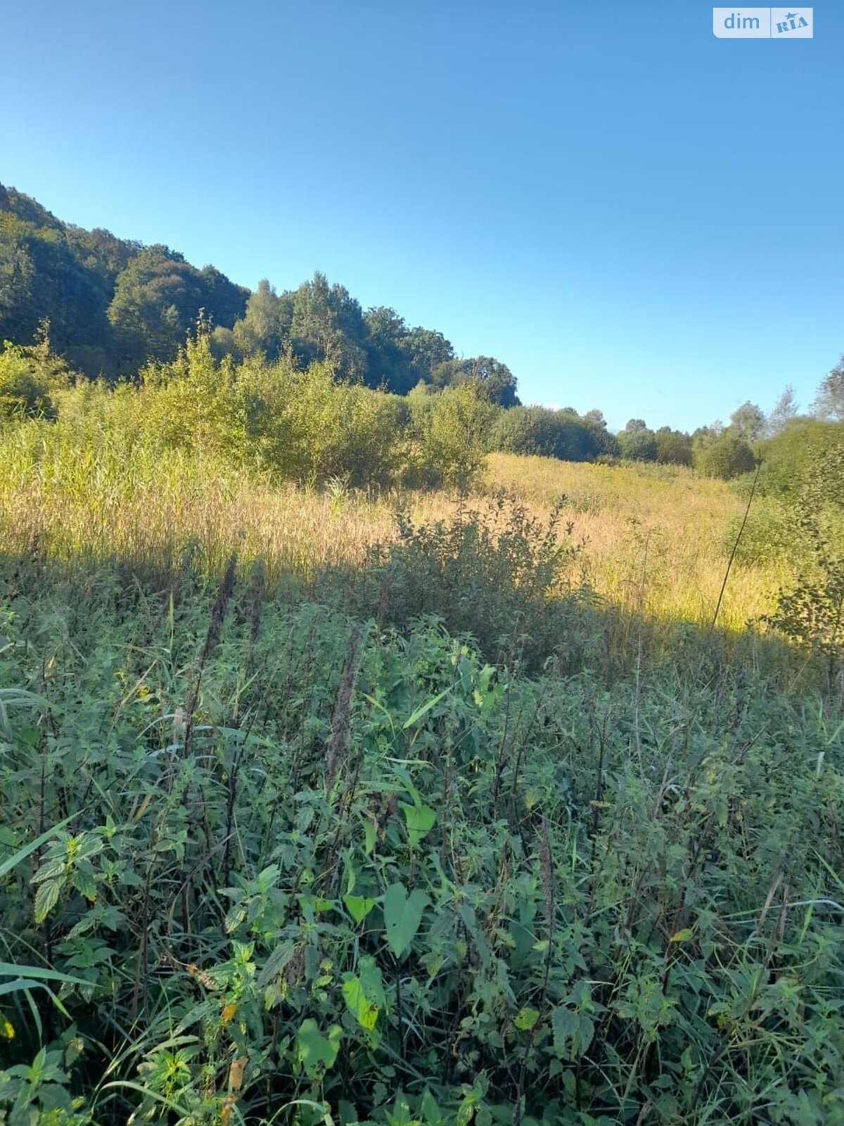 Аренда земли коммерческого назначения в Ярушичах, цена: 2 639 грн за объект фото 1