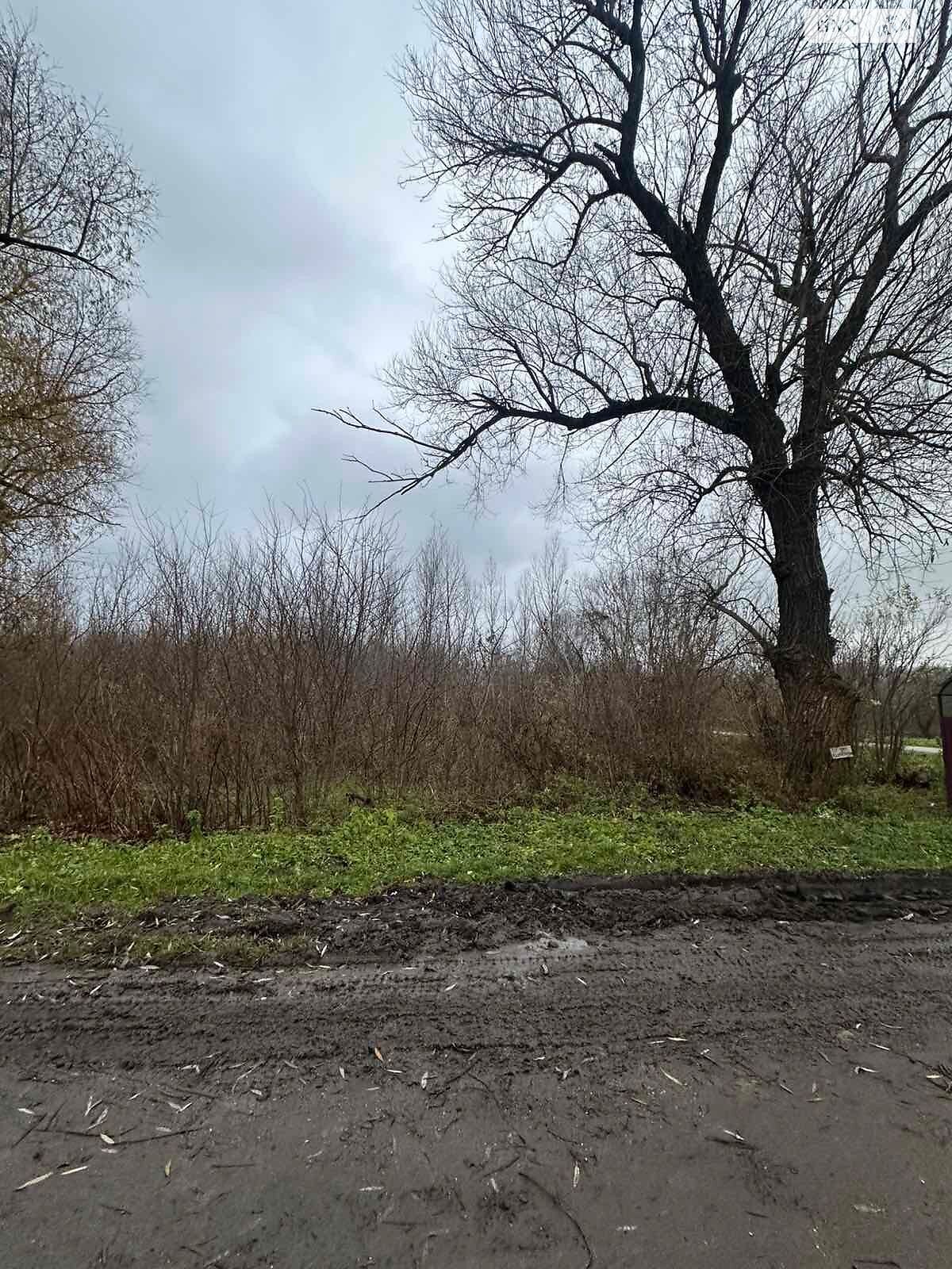 Аренда земли коммерческого назначения в Ясеновке, цена: 12 251 грн за объект фото 1