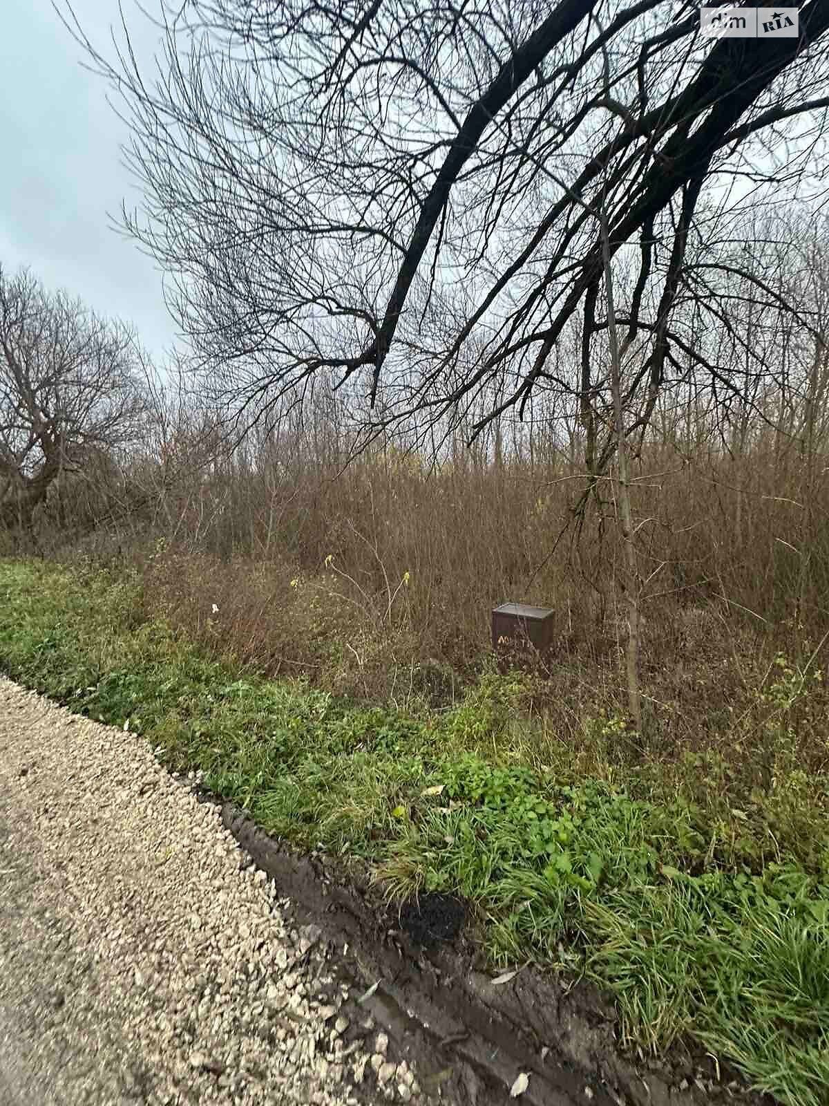 Аренда земли коммерческого назначения в Ясеновке, цена: 12 251 грн за объект фото 1