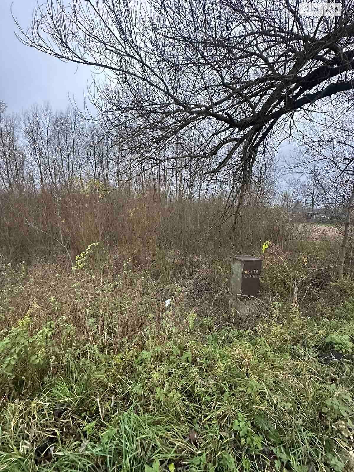 Аренда земли коммерческого назначения в Ясеновке, цена: 12 251 грн за объект фото 1