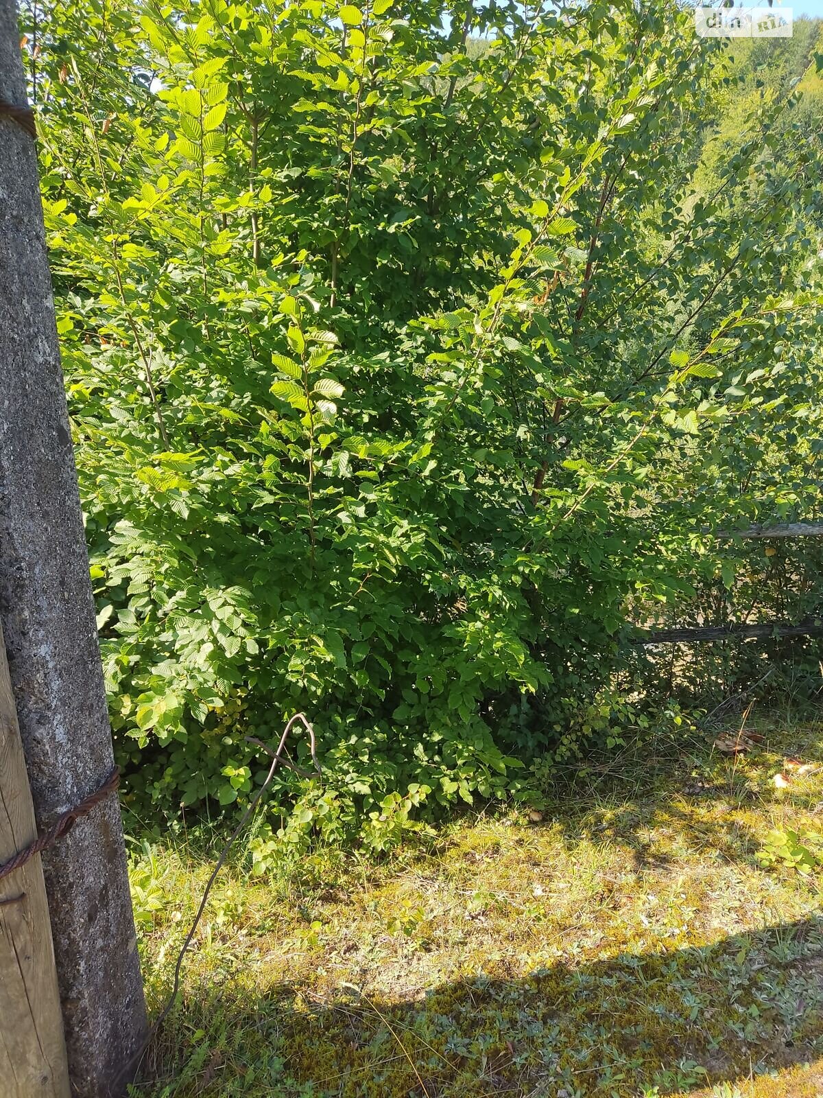 Оренда землі комерційного призначення в Яворові, ціна: 293 грн за об’єкт фото 1