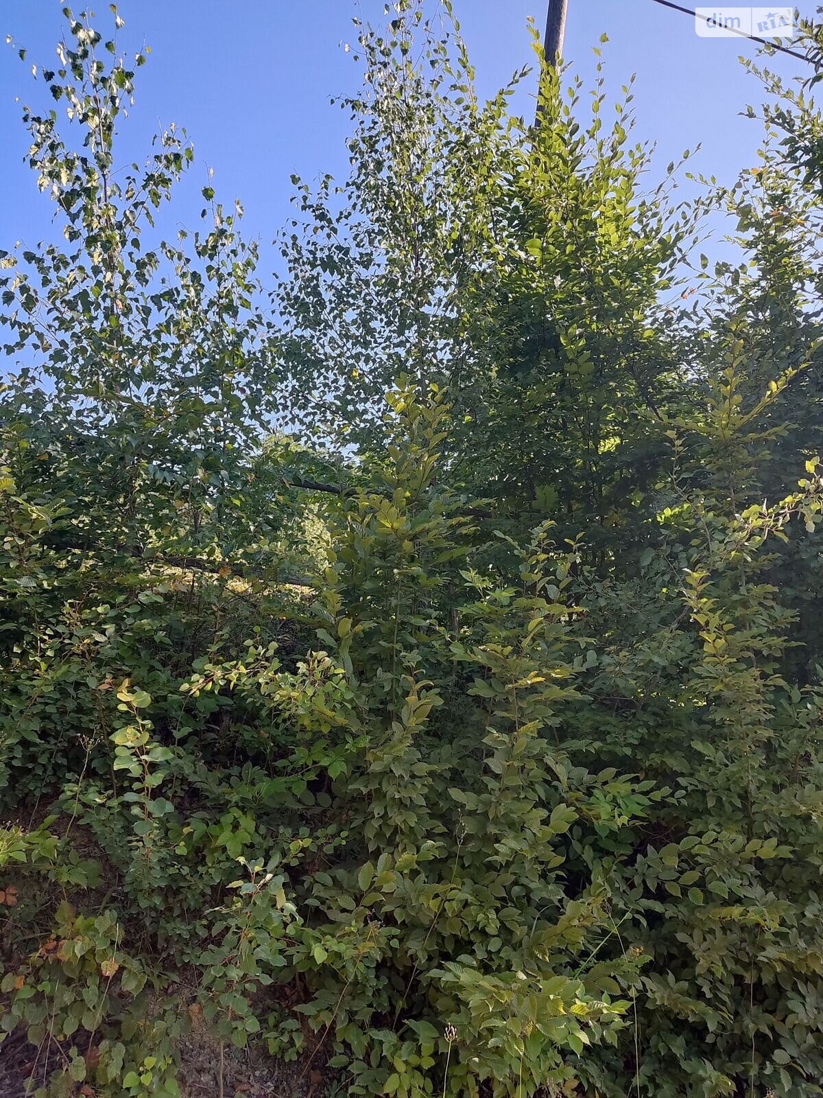 Оренда землі комерційного призначення в Яворові, ціна: 293 грн за об’єкт фото 1