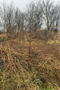 Аренда земли коммерческого назначения в Яворове, цена: 125 898 грн за объект фото 1 Аренда земли коммерческого назначения в Яворове, цена: 125 898 грн за объект фото 1