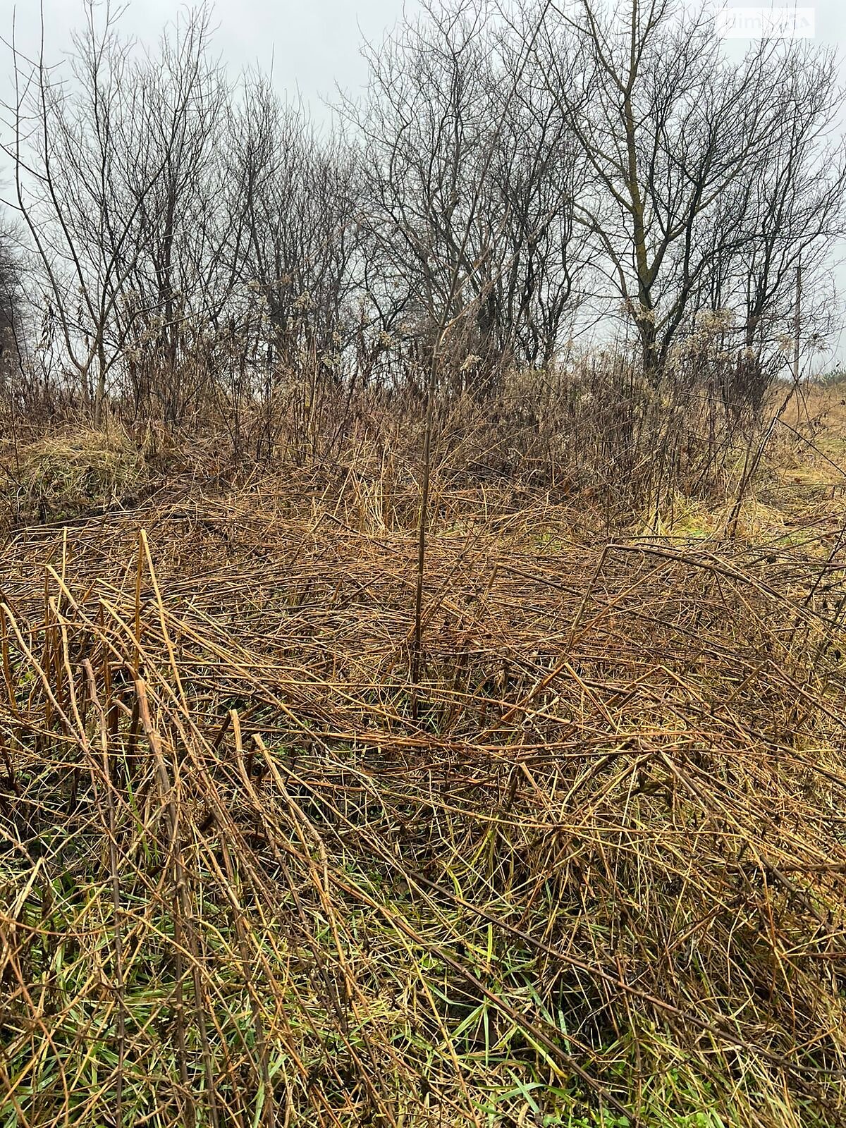 Аренда земли коммерческого назначения в Яворове, цена: 125 898 грн за объект фото 1 Аренда земли коммерческого назначения в Яворове, цена: 125 898 грн за объект фото 1