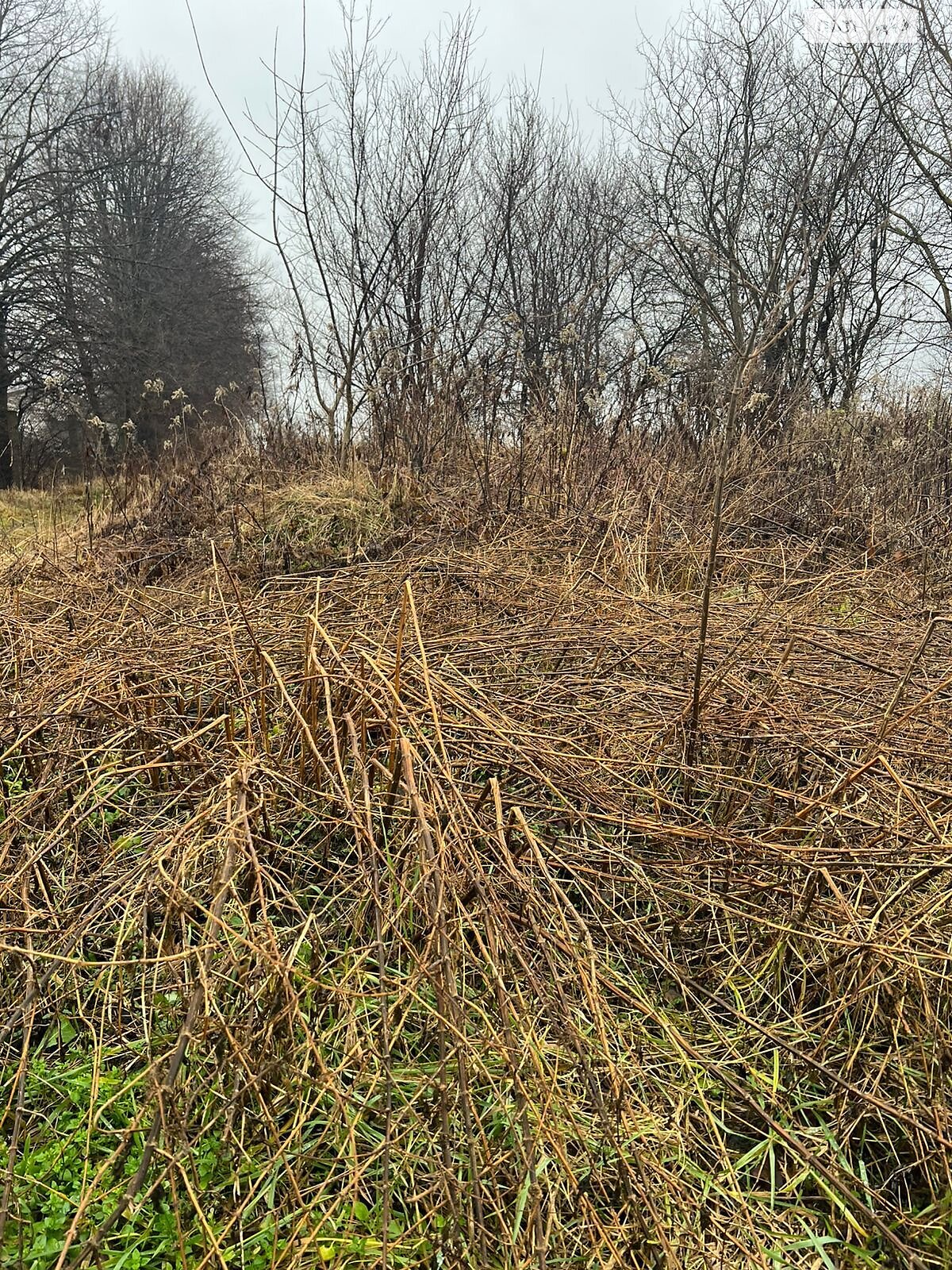 Аренда земли коммерческого назначения в Яворове, цена: 207 787 грн за объект фото 1 Аренда земли коммерческого назначения в Яворове, цена: 207 787 грн за объект фото 1