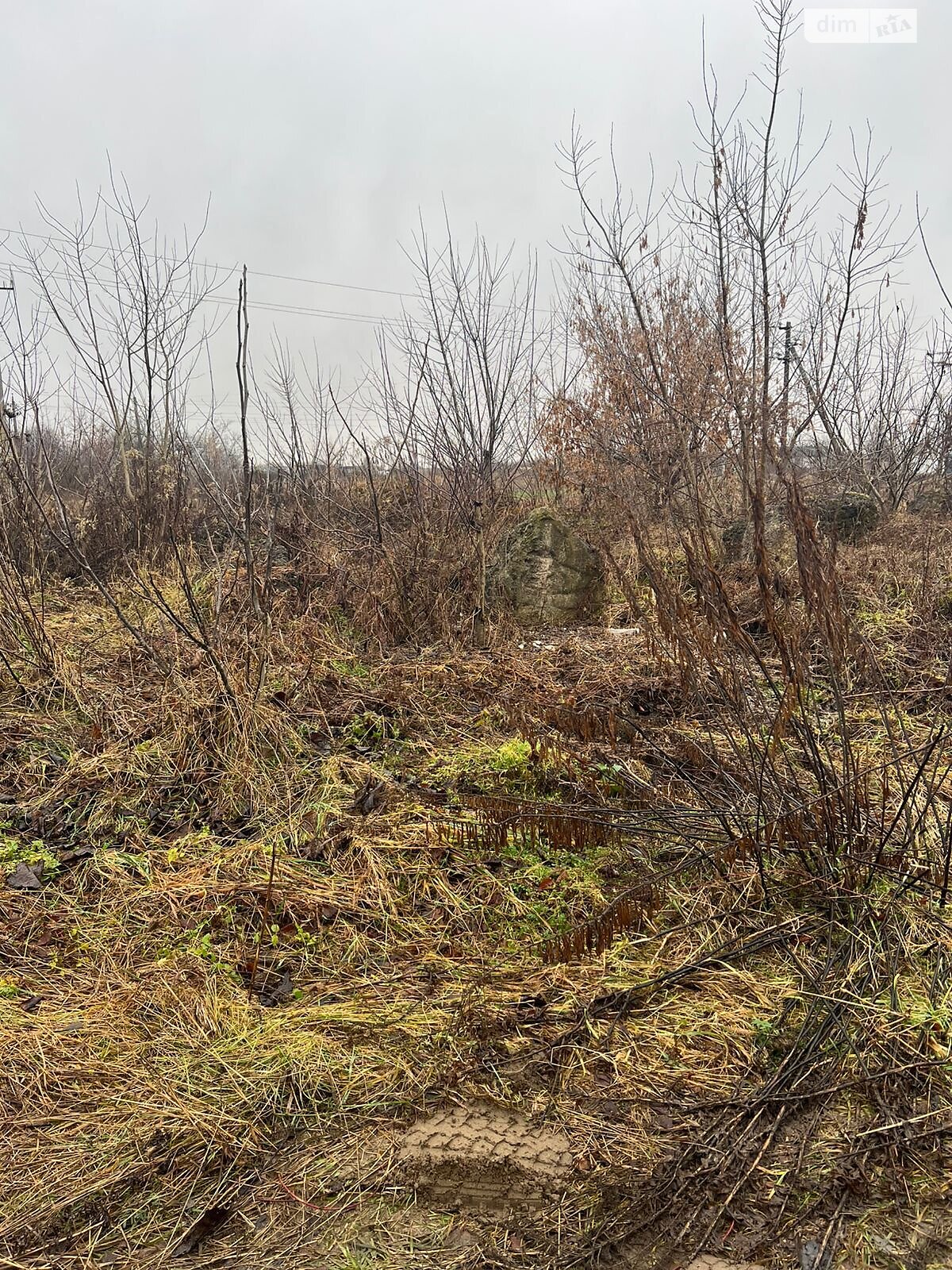 Аренда земли коммерческого назначения в Яворове, цена: 125 898 грн за объект фото 1 Аренда земли коммерческого назначения в Яворове, цена: 125 898 грн за объект фото 1