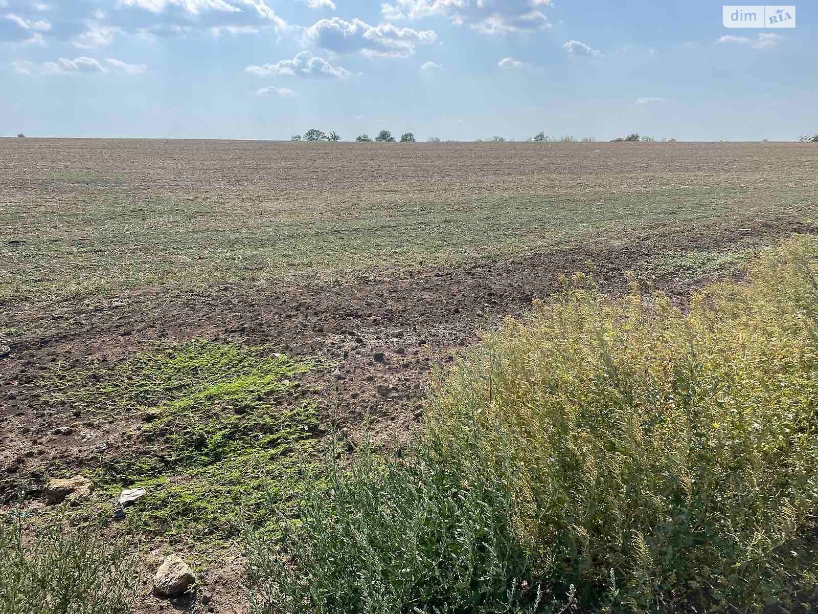 Оренда землі комерційного призначення в Південному, ціна: 2 210 558 грн за об’єкт фото 1