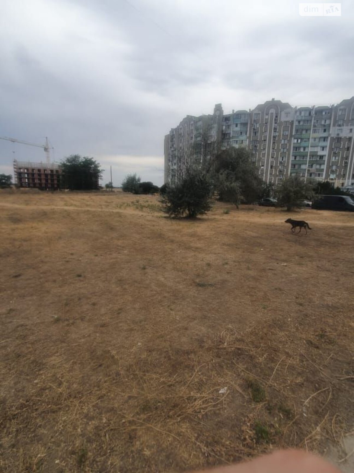 Оренда землі комерційного призначення в Південному, ціна: 1 814 438 грн за об’єкт фото 1