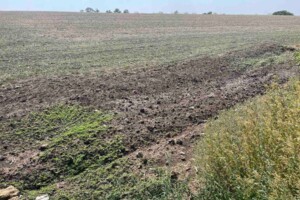 Оренда землі комерційного призначення в Південному, ціна: 2 210 558 грн за об’єкт фото 1