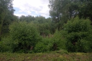 Аренда земли коммерческого назначения в Загайполе, цена: 1 428 грн за объект фото 1 Аренда земли коммерческого назначения в Загайполе, цена: 1 428 грн за объект фото 1