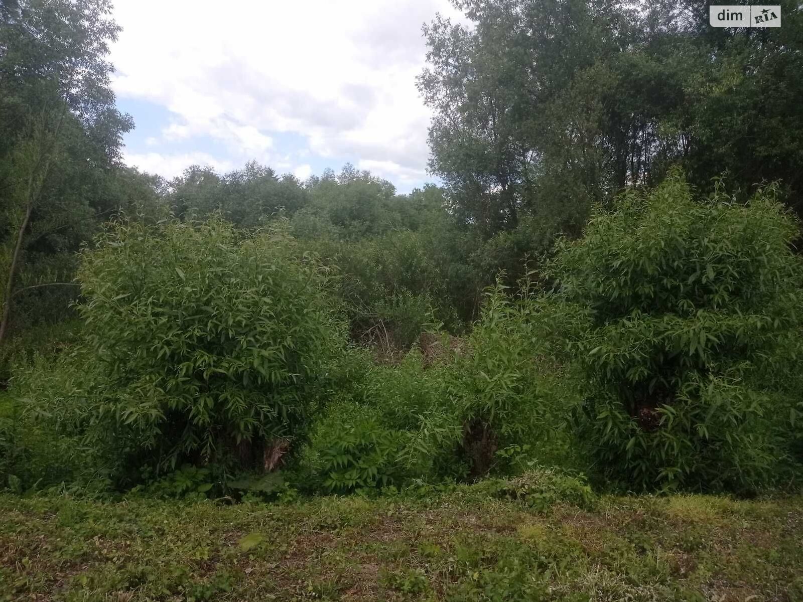 Аренда земли коммерческого назначения в Загайполе, цена: 1 428 грн за объект фото 1 Аренда земли коммерческого назначения в Загайполе, цена: 1 428 грн за объект фото 1