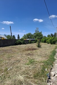 Оренда землі комерційного призначення в Зарванцях, ціна: 20 000 грн за об’єкт фото 2