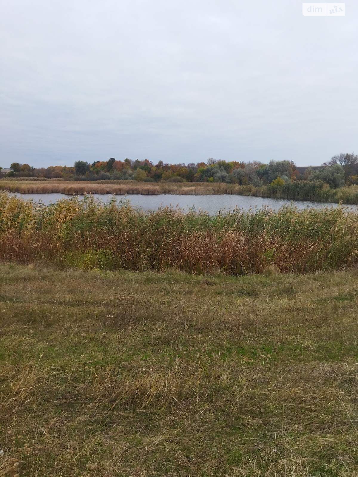 Аренда земли коммерческого назначения в Зеленом Гае, цена: 26 591 грн за объект фото 1 Аренда земли коммерческого назначения в Зеленом Гае, цена: 26 591 грн за объект фото 1