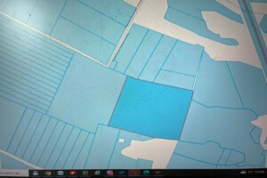 Аренда земли сельскохозяйственного назначения в Андреевке, цена: 22 720 грн за объект фото 1