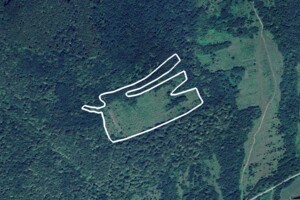 Оренда землі сільськогосподарського призначення в Анталівцях, ціна: 11 547 грн за об’єкт фото 1