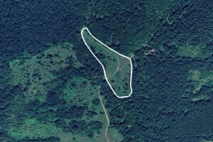 Аренда земли сельскохозяйственного назначения в Анталовцах, цена: 504 грн за объект фото 1