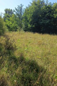 Аренда земли сельскохозяйственного назначения в Бабином, цена: 3 384 грн за объект фото 1 Аренда земли сельскохозяйственного назначения в Бабином, цена: 3 384 грн за объект фото 1