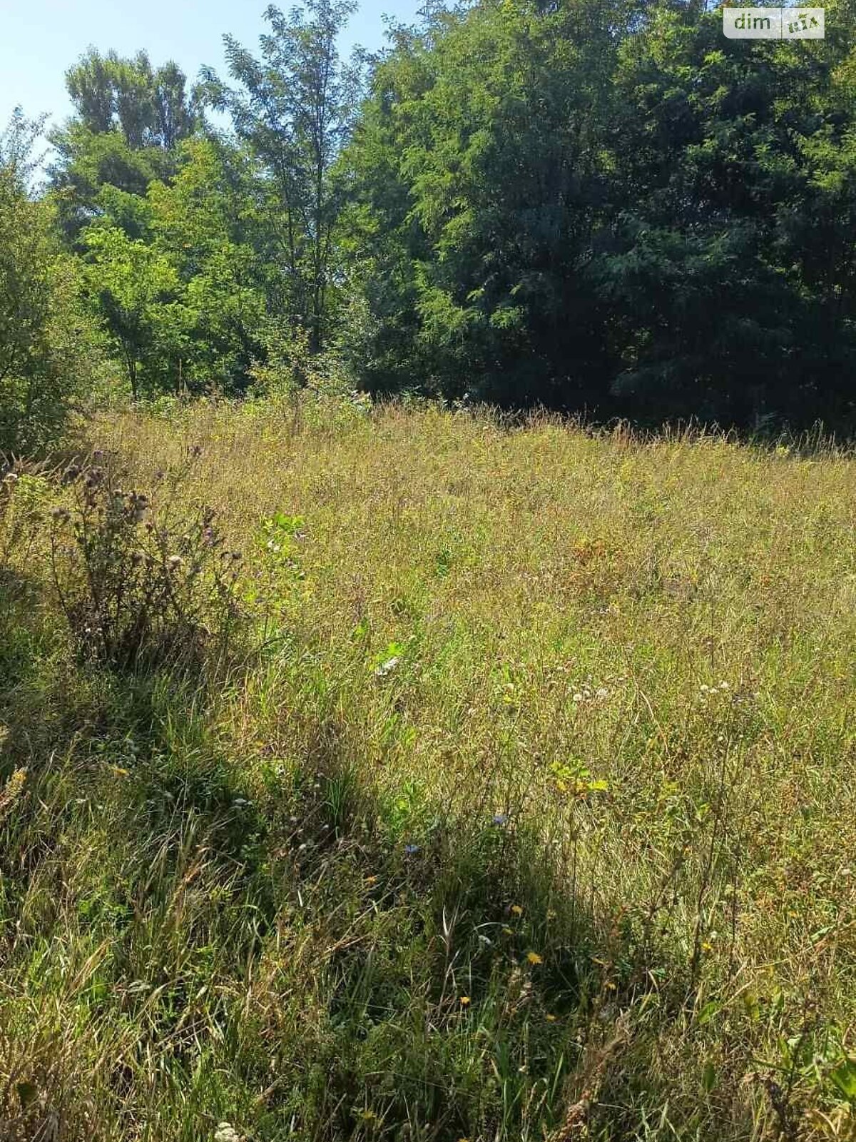 Аренда земли сельскохозяйственного назначения в Бабином, цена: 3 384 грн за объект фото 1 Аренда земли сельскохозяйственного назначения в Бабином, цена: 3 384 грн за объект фото 1