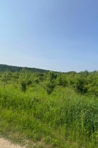 Аренда земли сельскохозяйственного назначения в Бабинцам, цена: 2 110 грн за объект фото 2 Аренда земли сельскохозяйственного назначения в Бабинцам, цена: 2 110 грн за объект фото 2