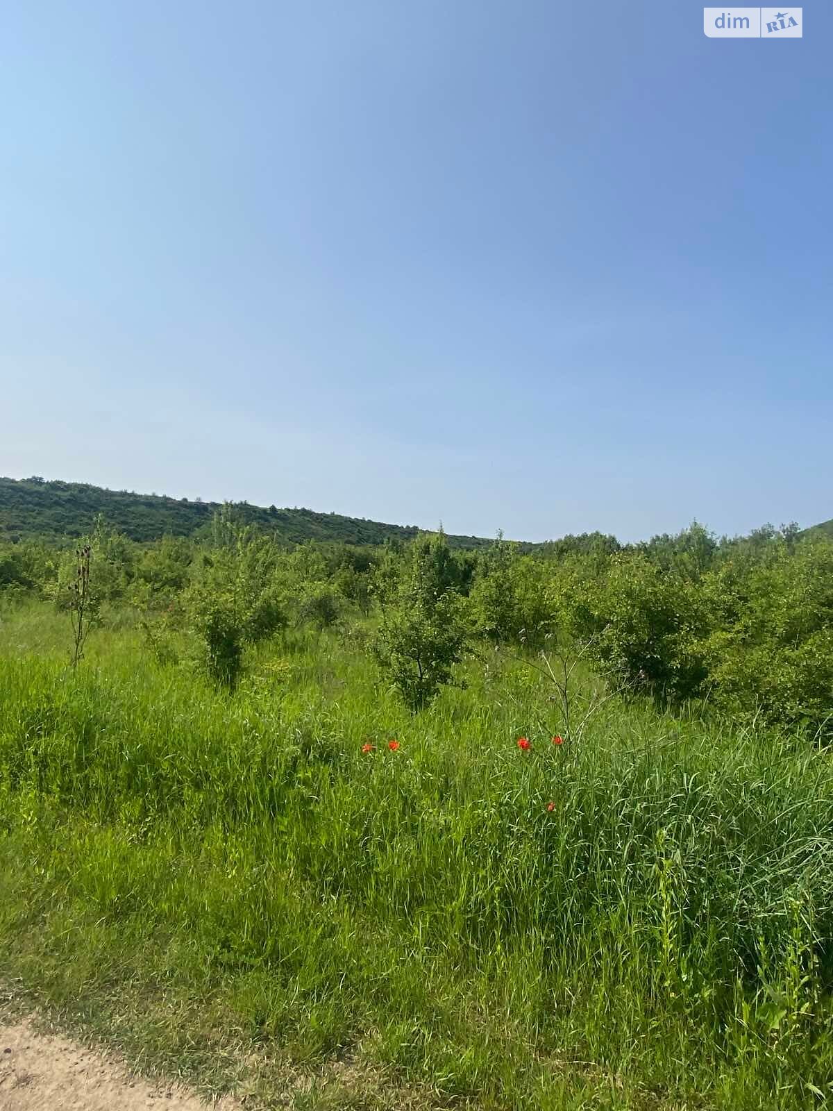 Аренда земли сельскохозяйственного назначения в Бабинцам, цена: 2 110 грн за объект фото 1 Аренда земли сельскохозяйственного назначения в Бабинцам, цена: 2 110 грн за объект фото 1