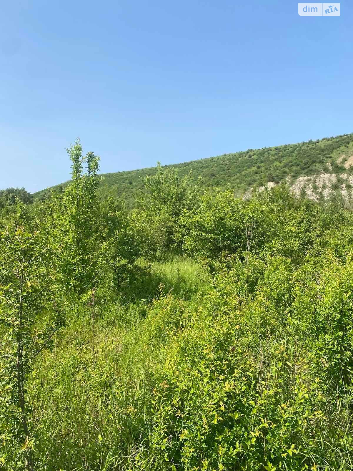 Аренда земли сельскохозяйственного назначения в Бабинцам, цена: 2 110 грн за объект фото 1 Аренда земли сельскохозяйственного назначения в Бабинцам, цена: 2 110 грн за объект фото 1