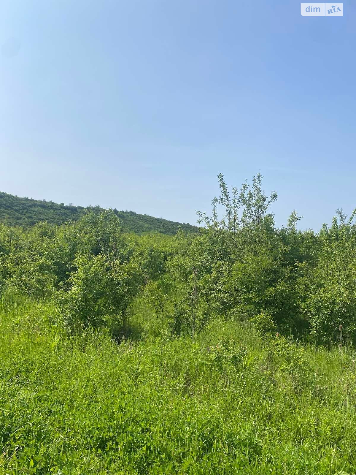 Аренда земли сельскохозяйственного назначения в Бабинцам, цена: 2 110 грн за объект фото 1 Аренда земли сельскохозяйственного назначения в Бабинцам, цена: 2 110 грн за объект фото 1