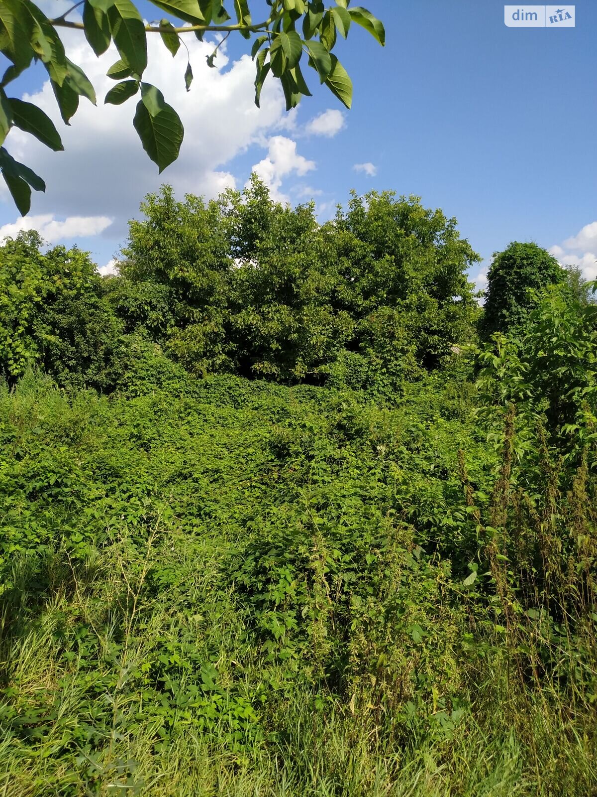 Оренда землі сільськогосподарського призначення в Бахмачі, ціна: 53 грн за об’єкт фото 1 Оренда землі сільськогосподарського призначення в Бахмачі, ціна: 53 грн за об’єкт фото 1