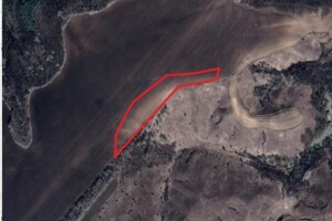 Аренда земли сельскохозяйственного назначения в Балико-Щучинке, цена: 3 596 грн за объект фото 1 Аренда земли сельскохозяйственного назначения в Балико-Щучинке, цена: 3 596 грн за объект фото 1