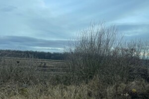 Оренда землі сільськогосподарського призначення в Балучині, ціна: 37 290 грн за об’єкт фото 1