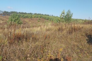 Аренда земли сельскохозяйственного назначения в Бельчинке, цена: 50 644 грн за объект фото 2