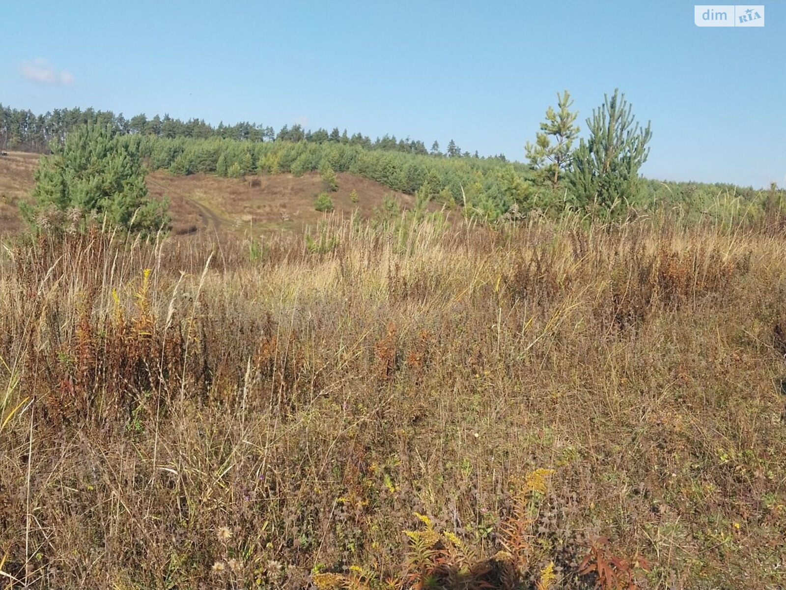 Аренда земли сельскохозяйственного назначения в Бельчинке, цена: 50 644 грн за объект фото 1