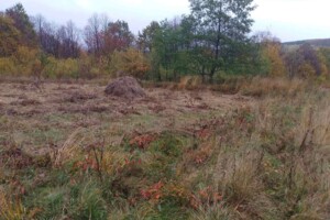 Оренда землі сільськогосподарського призначення в Белеєві, ціна: 2 495 грн за об’єкт фото 2