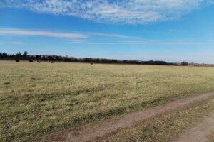 Оренда землі сільськогосподарського призначення в Білку, ціна: 170 грн за об’єкт фото 1