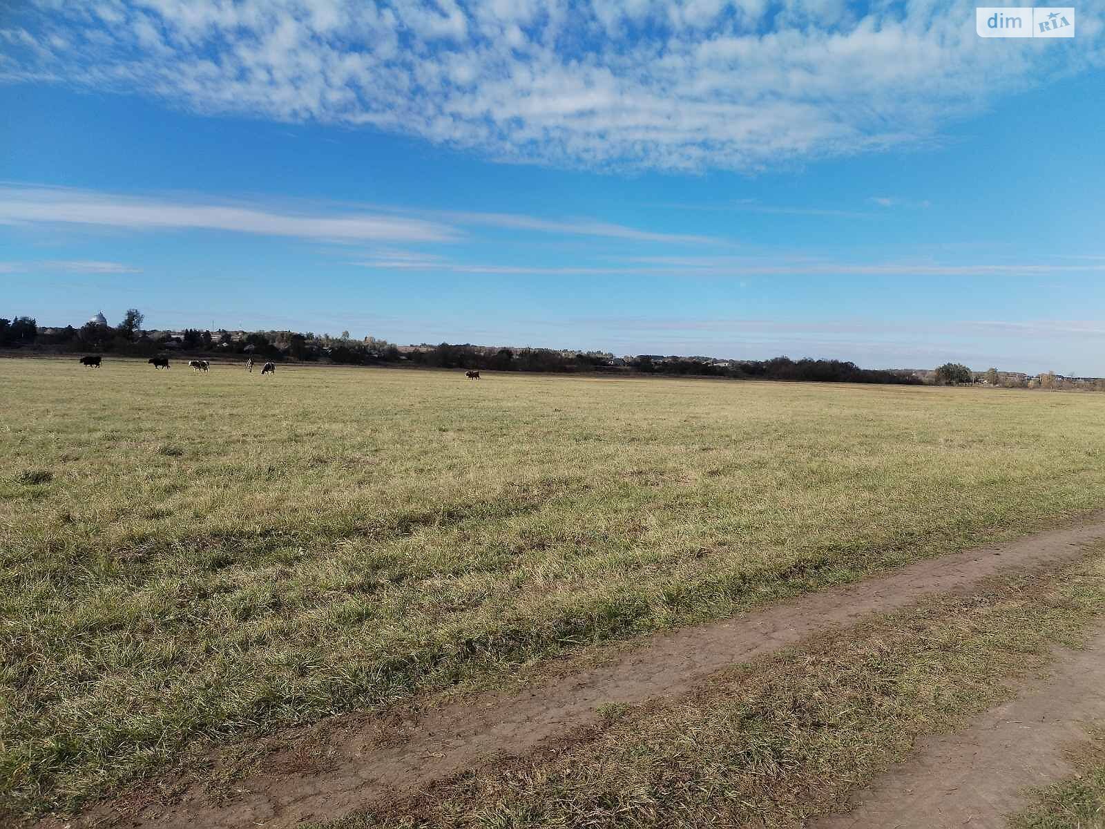 Оренда землі сільськогосподарського призначення в Білку, ціна: 170 грн за об’єкт фото 1 Оренда землі сільськогосподарського призначення в Білку, ціна: 170 грн за об’єкт фото 1