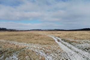 Оренда землі сільськогосподарського призначення в Білку, ціна: 44 853 грн за об’єкт фото 1
