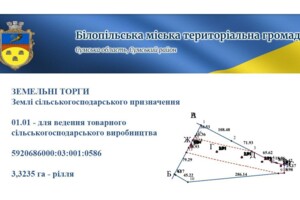 Аренда земли сельскохозяйственного назначения в Белополье, цена: 25 434 грн за объект фото 1