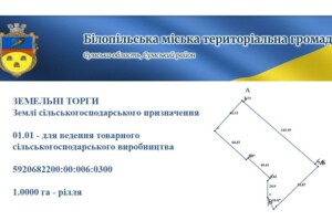 Оренда землі сільськогосподарського призначення в Білопіллі, ціна: 3 485 грн за об’єкт фото 1