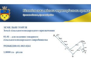 Оренда землі сільськогосподарського призначення в Білопіллі, ціна: 5 277 грн за об’єкт фото 1