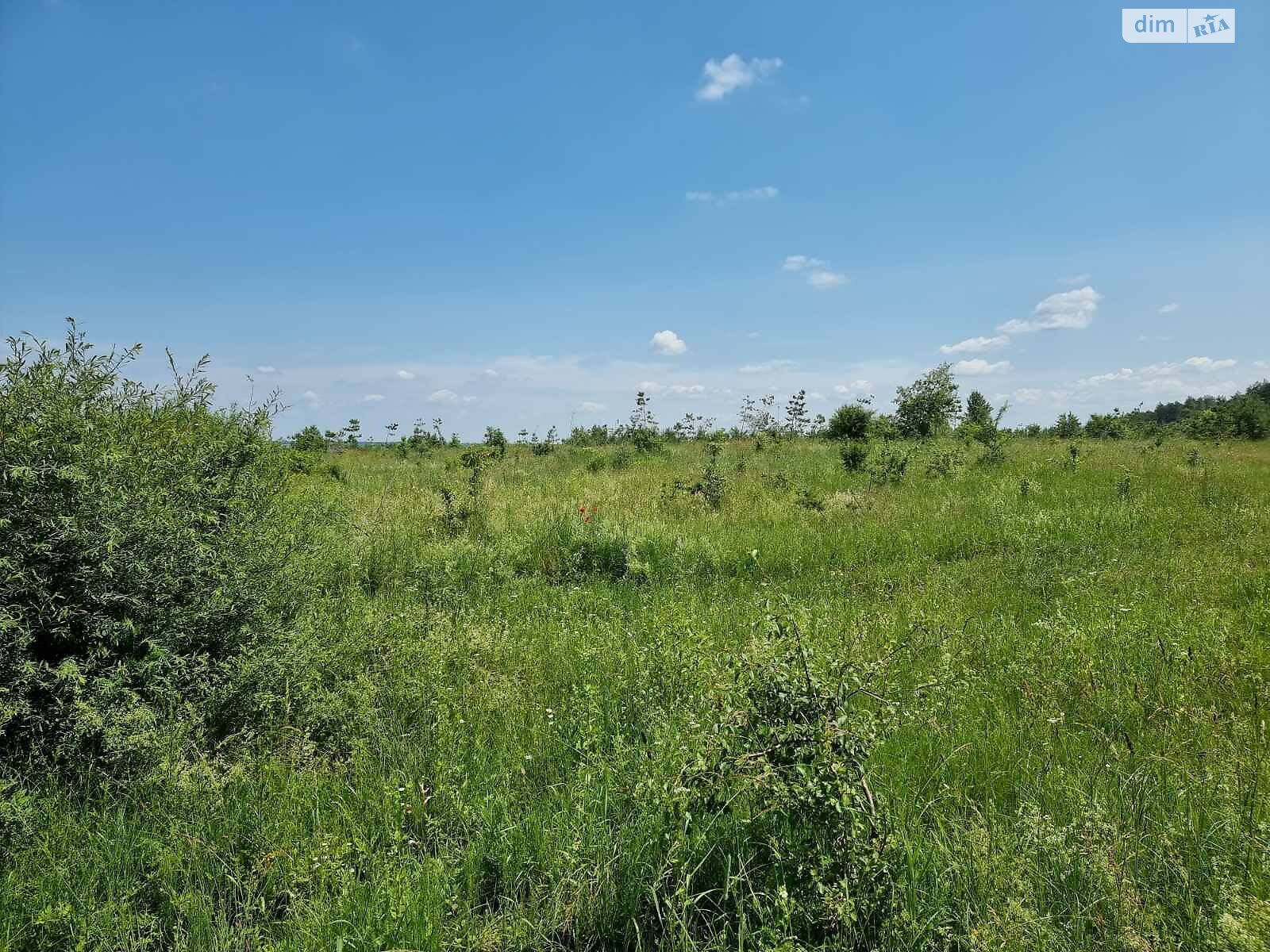 Аренда земли сельскохозяйственного назначения в Белзе, цена: 8 942 грн за объект фото 1