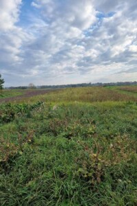 Оренда землі сільськогосподарського призначення в Белзі, ціна: 14 795 грн за об’єкт фото 1