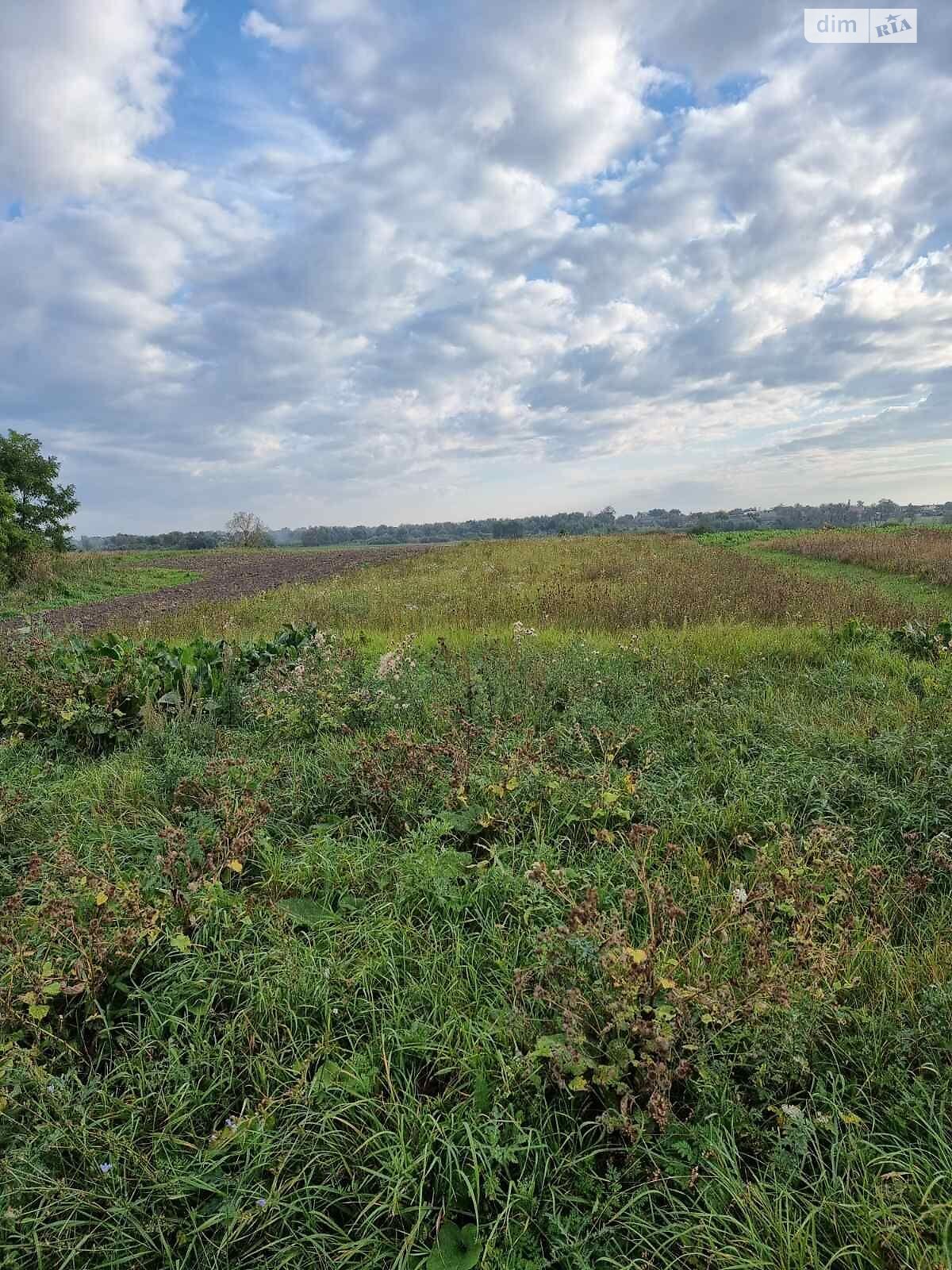 Оренда землі сільськогосподарського призначення в Белзі, ціна: 14 795 грн за об’єкт фото 1
