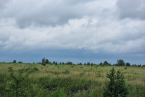 Оренда землі сільськогосподарського призначення в Белзі, ціна: 4 614 грн за об’єкт фото 1