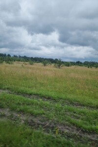 Оренда землі сільськогосподарського призначення в Белзі, ціна: 9 575 грн за об’єкт фото 1