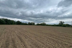 Аренда земли сельскохозяйственного назначения в Бережнице, цена: 50 226 грн за объект фото 2