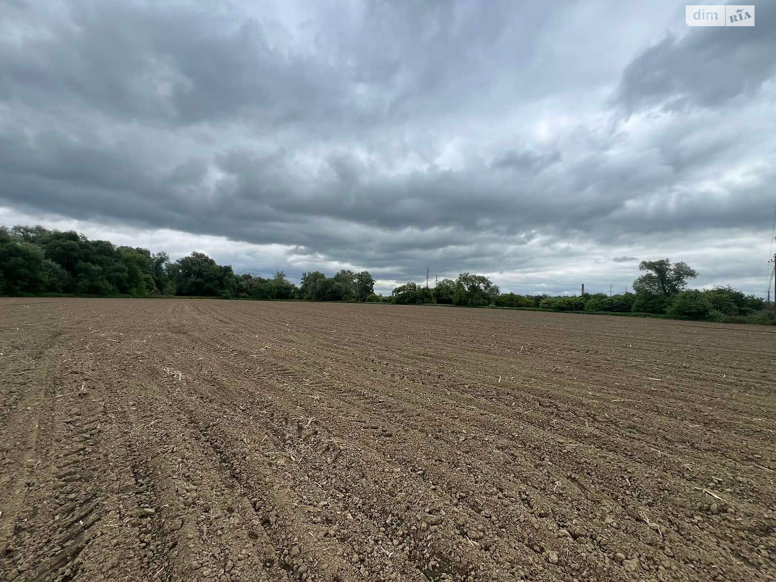 Аренда земли сельскохозяйственного назначения в Бережнице, цена: 50 226 грн за объект фото 1