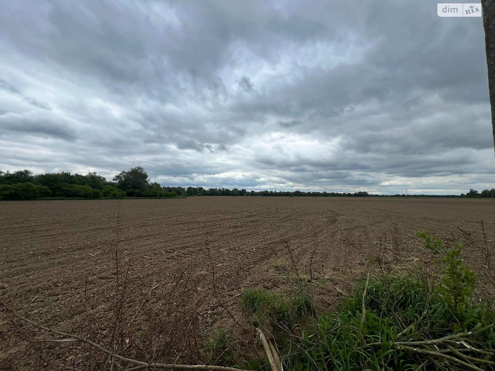 Аренда земли сельскохозяйственного назначения в Бережнице, цена: 50 226 грн за объект фото 1