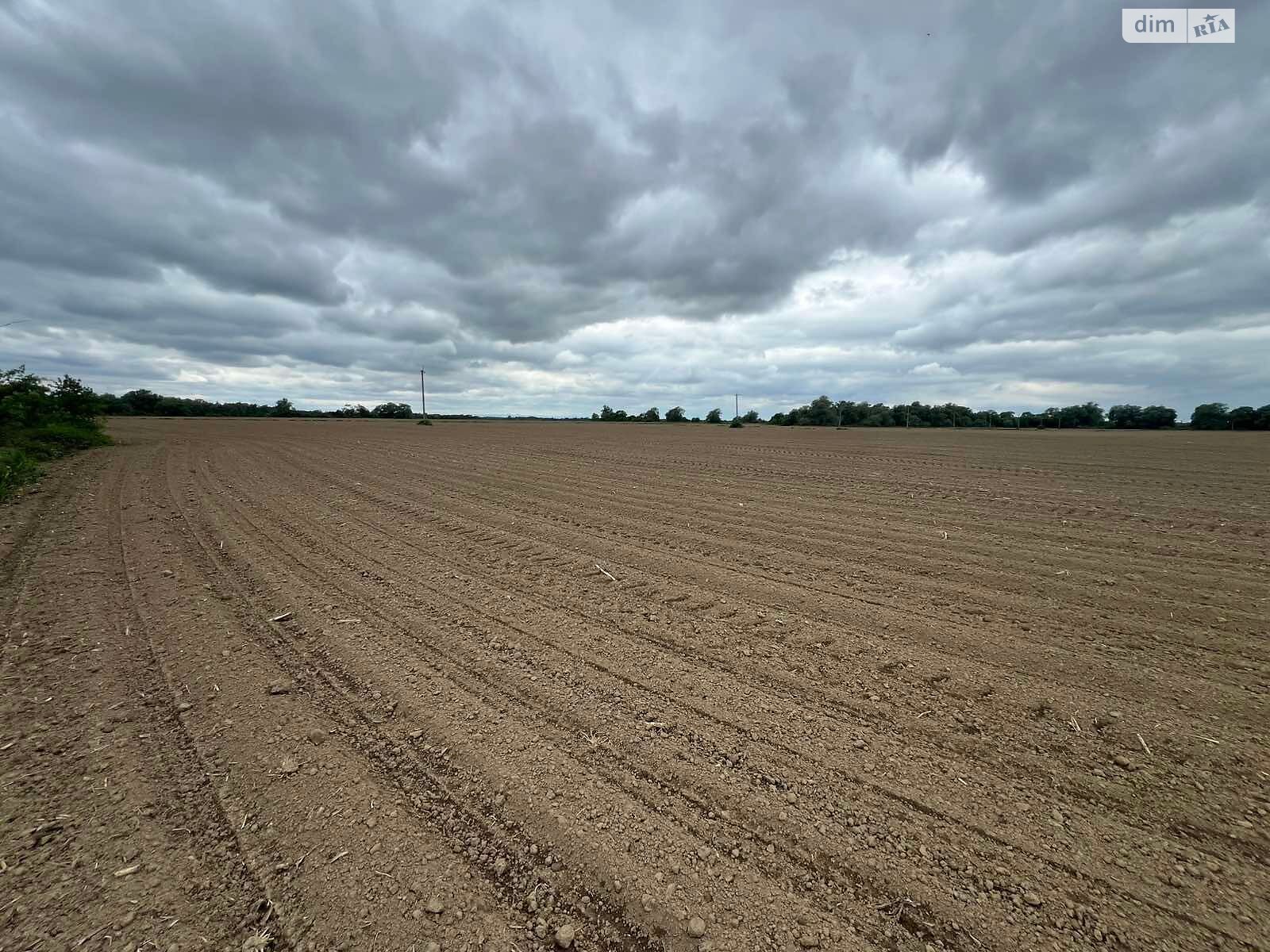 Аренда земли сельскохозяйственного назначения в Бережнице, цена: 50 226 грн за объект фото 1