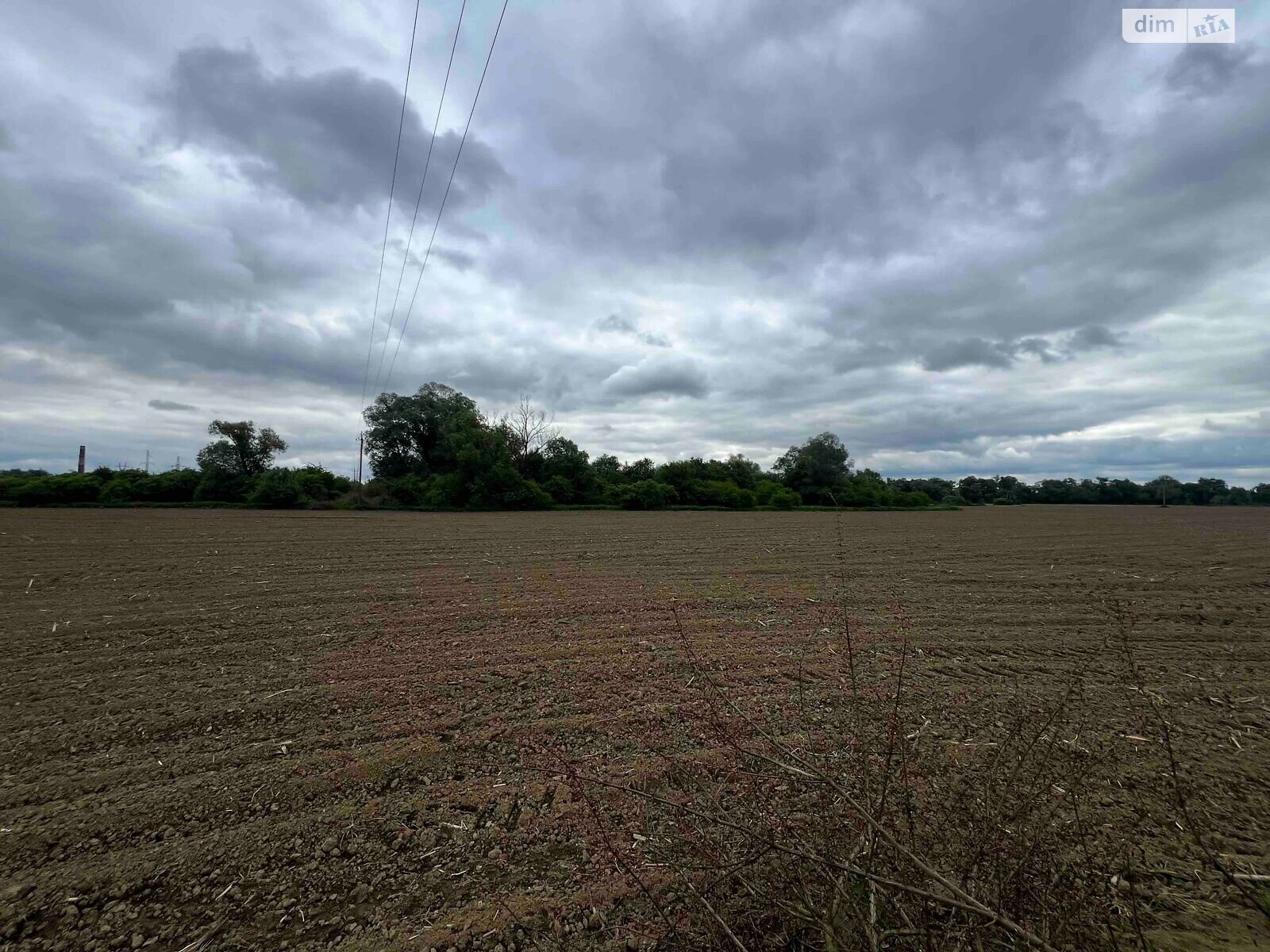 Аренда земли сельскохозяйственного назначения в Бережнице, цена: 50 226 грн за объект фото 1