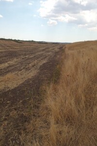 Аренда земли сельскохозяйственного назначения в Березани, цена: 23 042 грн за объект фото 2 Аренда земли сельскохозяйственного назначения в Березани, цена: 23 042 грн за объект фото 2